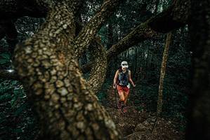 BIB: 
                            <button type="button" onclick="openModal(25697194)" class="btn btn-primary btn-sm float-right btn-popup" data-toggle="modal" data-target=".modal-high-quality">
                        <i class="fas fa-shopping-cart"></i> Add to Cart
                    </button>
                                            <button type="button" onclick="isThisMe(25697194, true)" class="btn btn-success btn-sm float-right btn-popup btn-isme hidden" data-toggle="tooltip" data-placement="bottom" title="นี่คือรูปของคุณใช่ไหม คลิกที่นี่เพื่อเอาเข้าอัลบั้ม">
                        <i class="fas fa-plus"></i> Add to album
                    </button>
                    <button type="button" onclick="isThisMe(25697194, false)" class="btn btn-warning btn-sm float-right btn-popup btn-isnotme hidden">
                        <i class="fas fa-ban"></i> Remove from album
                    </button>